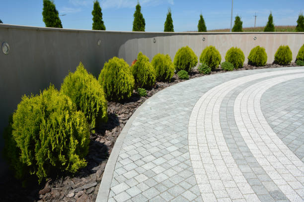 Best Local Driveway Pavers  in Fayetteville, WV